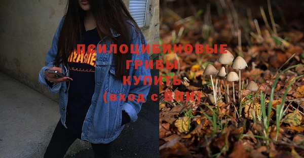 винт Абаза
