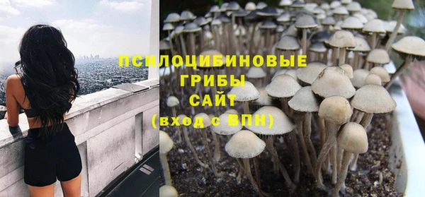 винт Абаза