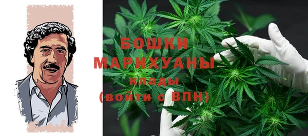 шишки Абинск