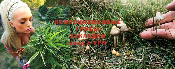 винт Абаза