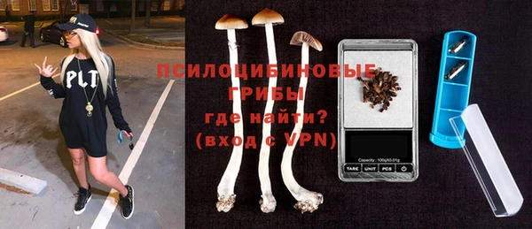 винт Абаза