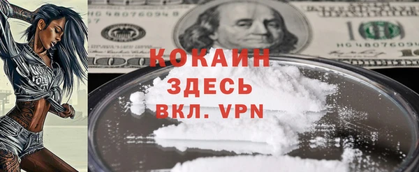 винт Абаза